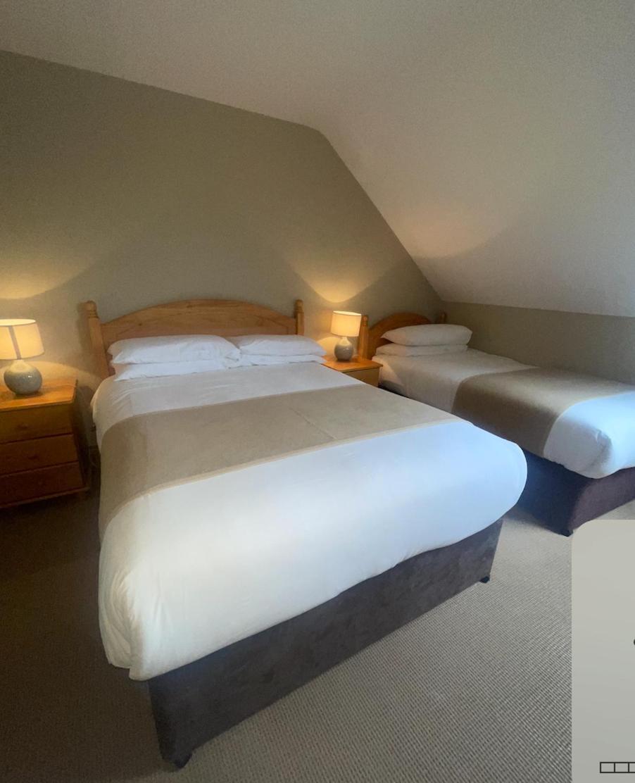 Hotel Dingle Harbour Nights Exterior foto